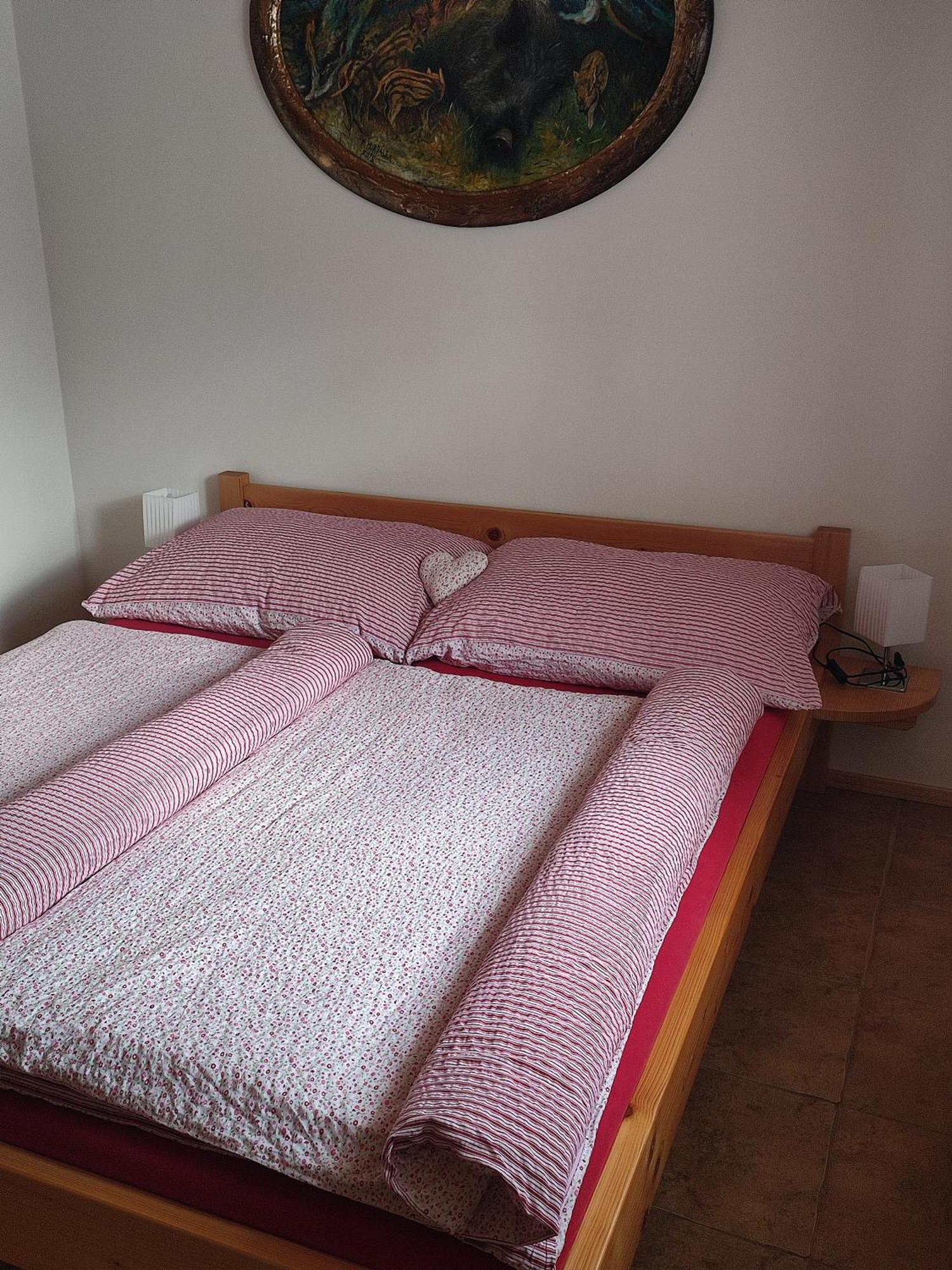 apartmány pod Vysákem Stárkov Habitación foto